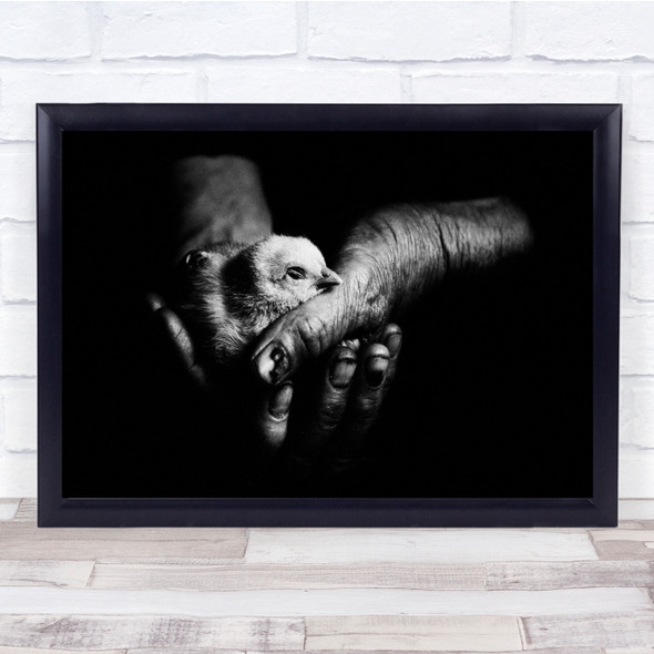Starosel Hollow Warmth Hand holding baby chicks Wall Art Print