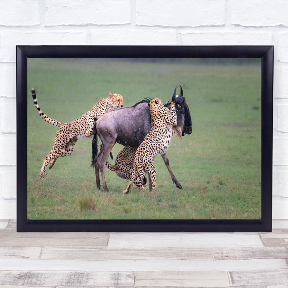 Cheetah Hunting Animals Predator Prey Wildlife Wall Art Print