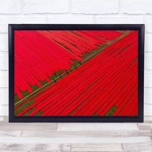 Cloth Colourful Red Workers Traditional - Copy Wall Art Print