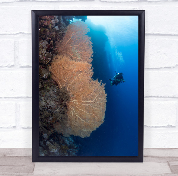 Gorgonian Coral And A Diver Sealife underwater Wall Art Print