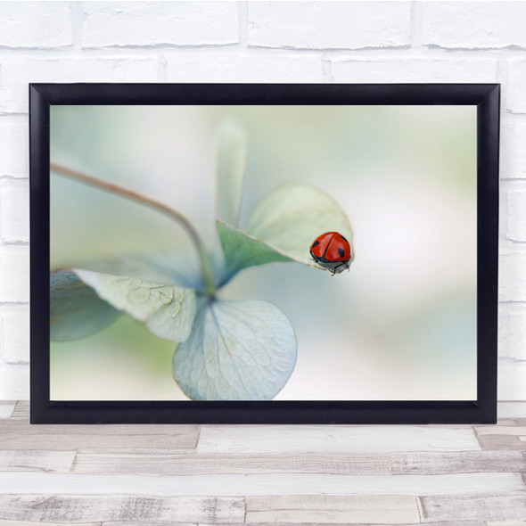 Ladybird Red Soft Bokeh Hydrangea White Flower Wall Art Print