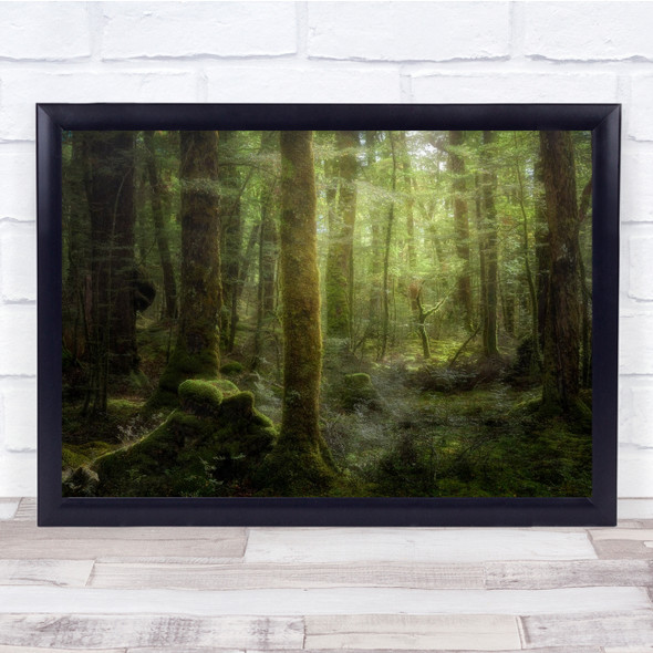 Landscape Beech Forest trees green woods misty Wall Art Print