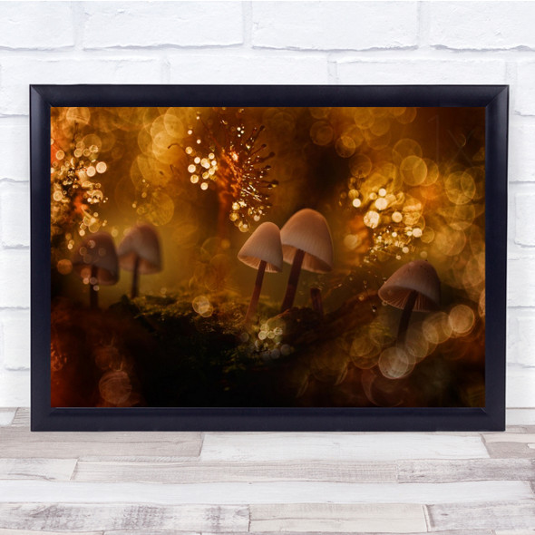 Macro Fungus Mushroom Bokeh Gold Golden Orange Wall Art Print