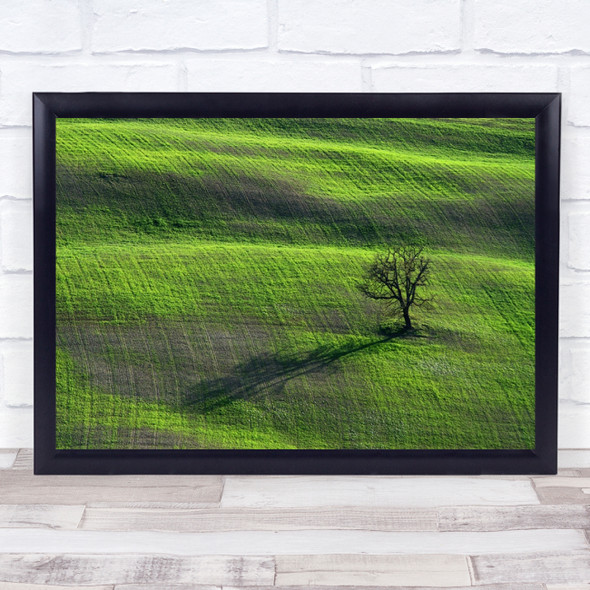 Tree Lonely Landscape Simple Green Countryside Wall Art Print