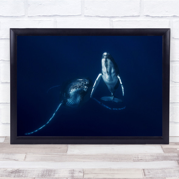 Whale Giant Wildlife Sea Ocean Underwater Dive Wall Art Print