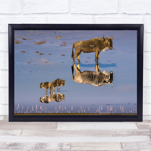 Wildebeest Reflection Waterhole nature animals Wall Art Print