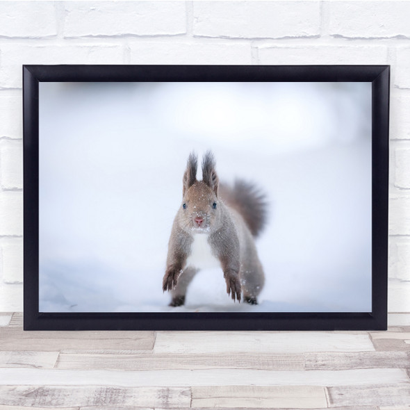 Wildlife Animal Squirrel Winter Snow Landscape Wall Art Print