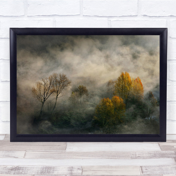 Adda Brivio Parcoaddanord Seasons Trees foggy Wall Art Print