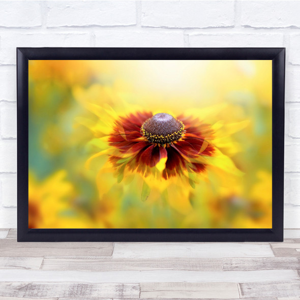 Flower Yellow Autumn Close-Up Coneflower Fire Wall Art Print