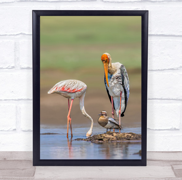 Friends birds on the lake drinking reflection Wall Art Print