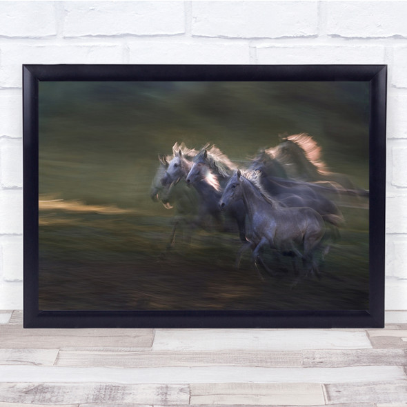 Horses Gallop Through Field Green White Horse Wall Art Print