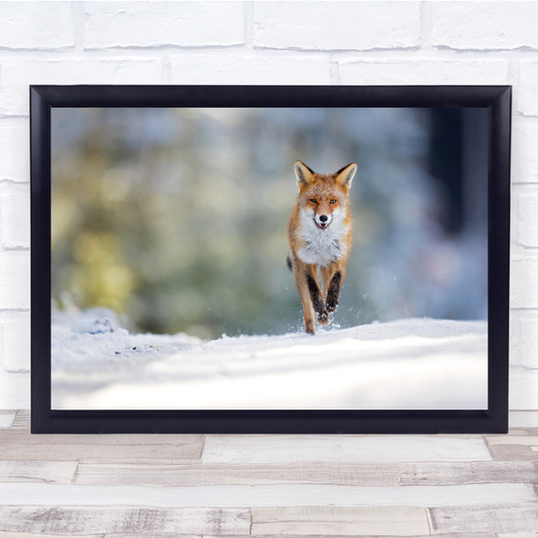 Red Fox Nature Animals Winter Forest Wildlife Wall Art Print