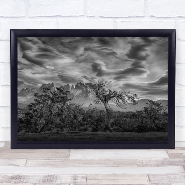 Trees Below Patagonia Skies Scary Black White Wall Art Print