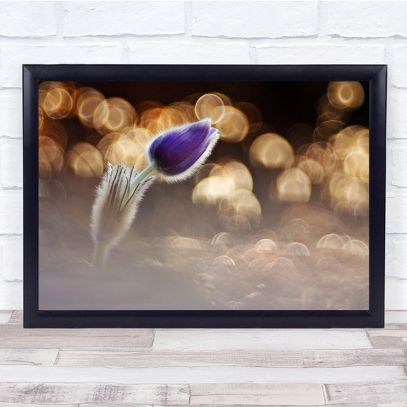 Beautiful single purple flower lights blurry Wall Art Print