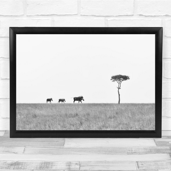 Boars Wild Black & White Tree Lonely Animals Wall Art Print