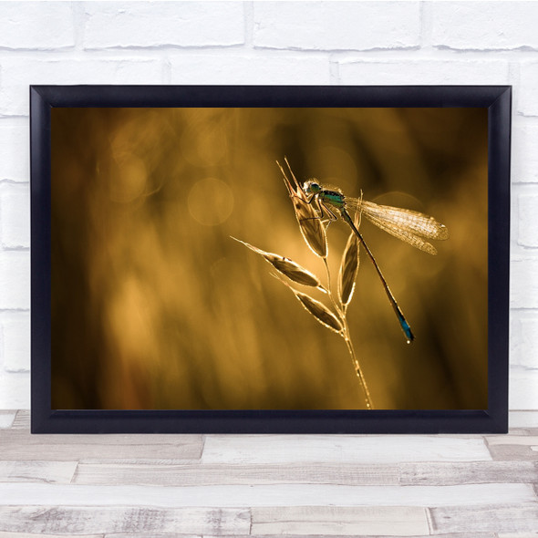 Dragonfly Insect Gonna Ride Your Wild Horses Wall Art Print