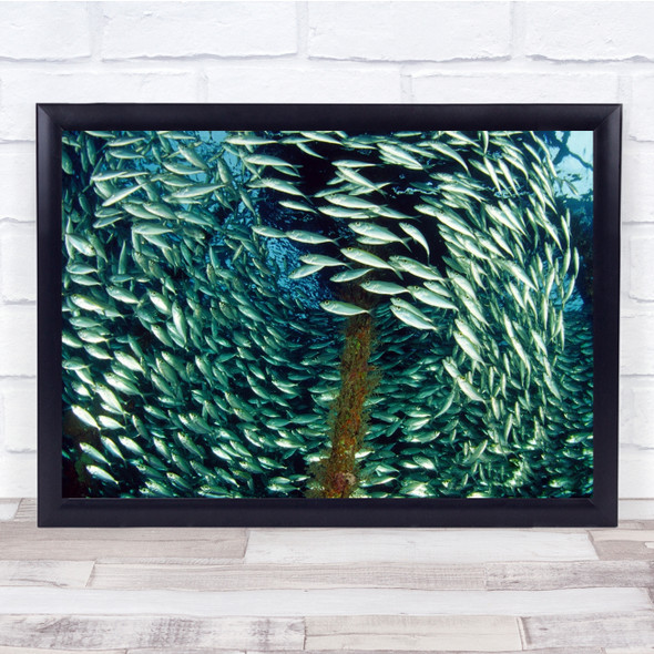 Fish Soup School Swimming underwater Sealife Wall Art Print