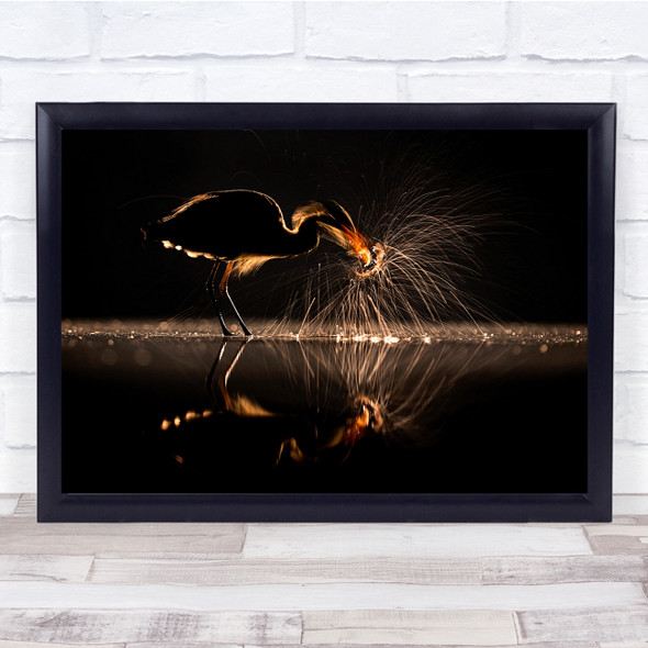 Landscape Bird Splashing In Water Reflection Wall Art Print