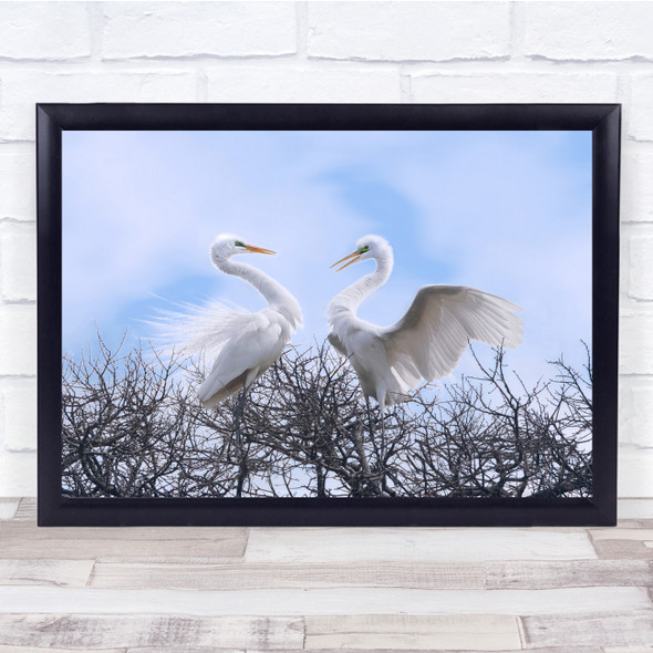 Love Heart Wildlife Bird Great Egrets nature Wall Art Print