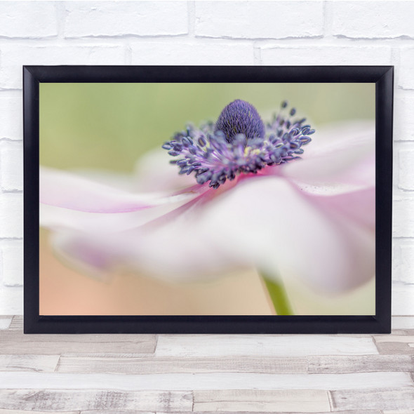 Macro Flowers Botanical Soft Close-Up Petals Wall Art Print