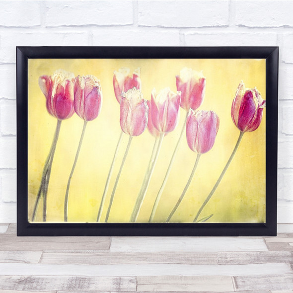 Painterly Still Life Flower Floral Botanical Wall Art Print