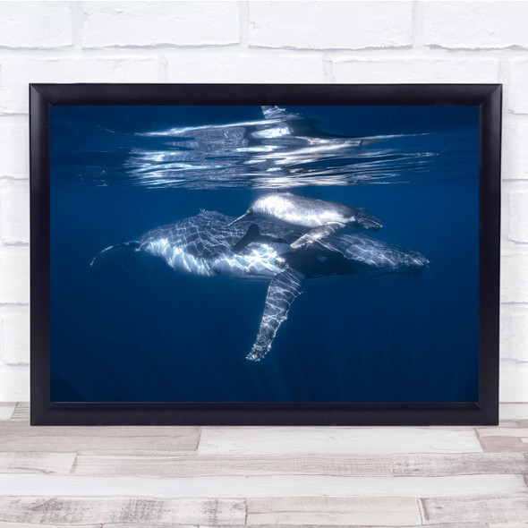 Underwater Blue Surface Water Whale Humpback Wall Art Print