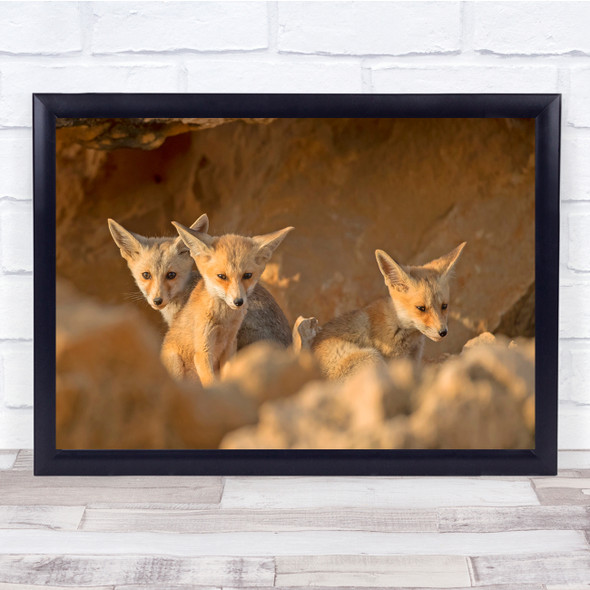 cute baby fox cubs Siblings Wildlife Nature Wall Art Print