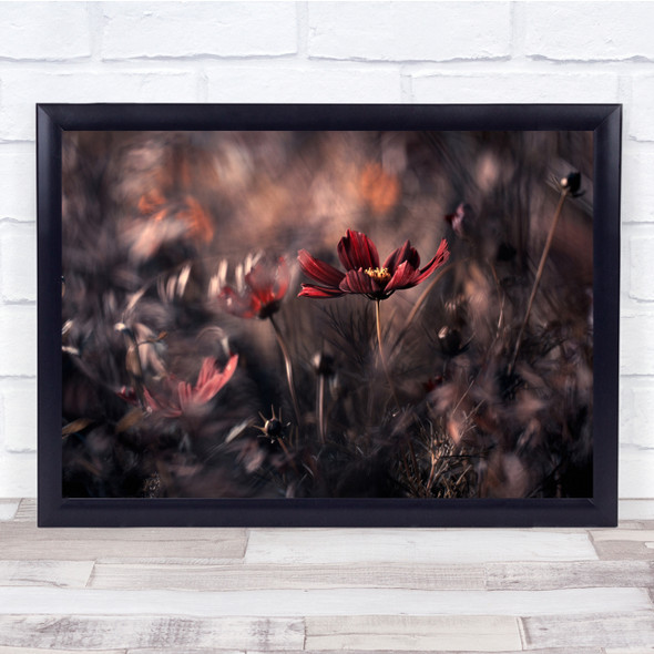 Flowers Bokeh Macro Garden Red Cosmic Plant Wall Art Print