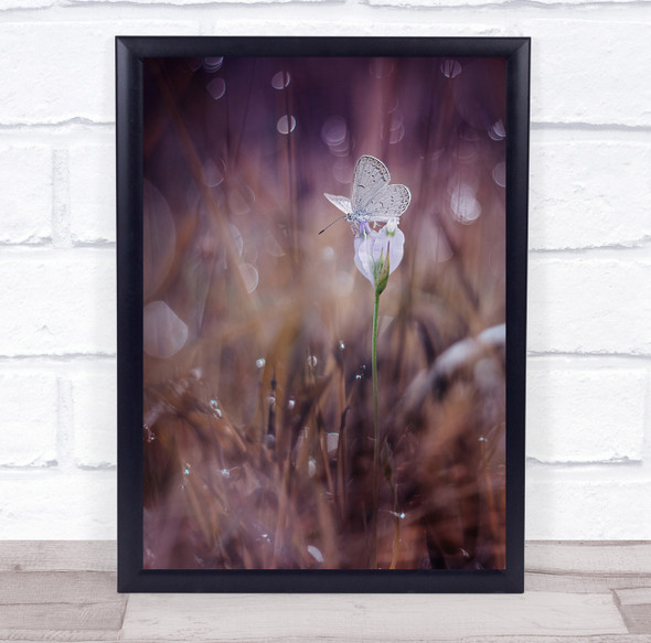 Macro Butterfly Bokeh Garden Flower Waiting Wall Art Print