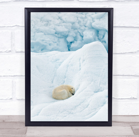 Polar Bear Sleeping snow winter ice glacier Wall Art Print