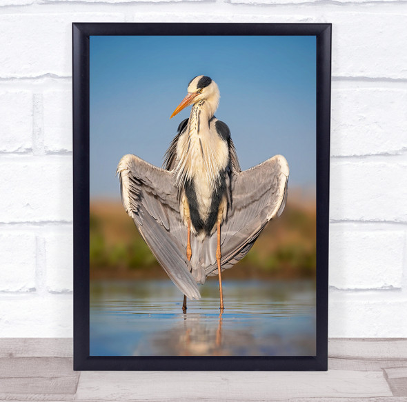 A Big Heart! bird wings reflection on lake Wall Art Print