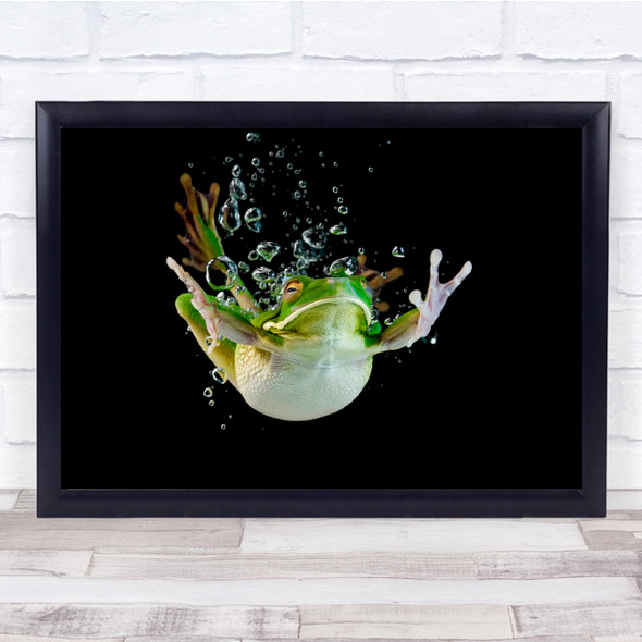 Frog Animals Water Underwater Bubbles Dark Wall Art Print
