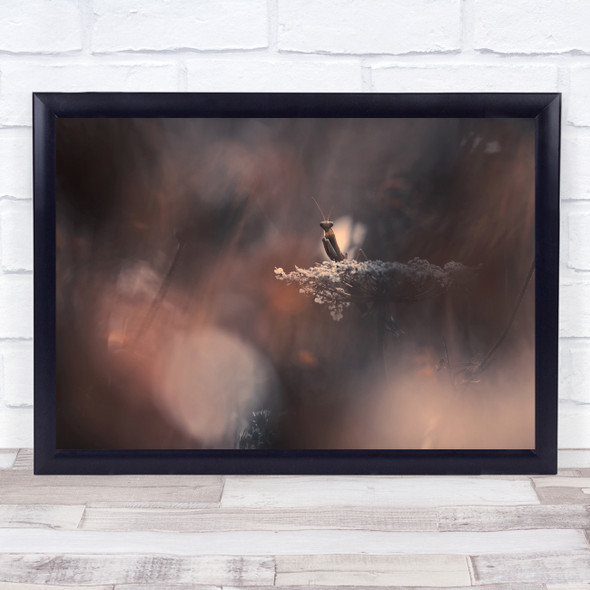 La Sentinelle praying mantis Insect flower Wall Art Print