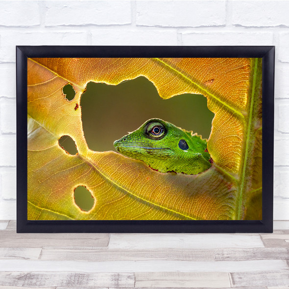 My Window frog peeking through yellow leaf Wall Art Print