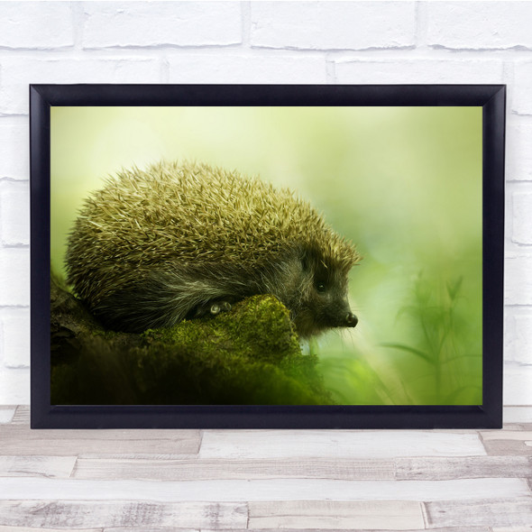 Hedgehog Wildlife Animal Green Bokeh Cute Wall Art Print