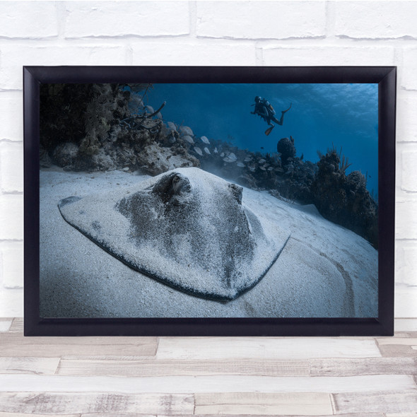 I See You stingray underwater scuba diver Wall Art Print
