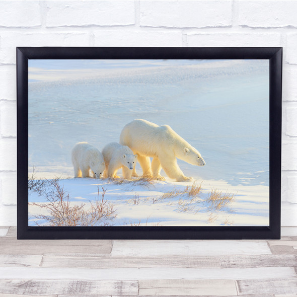 Polar Bears Family Winter Nature wildlife Wall Art Print