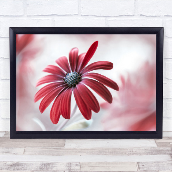 Summer Flower Garden Plant Red Pink Focus Wall Art Print