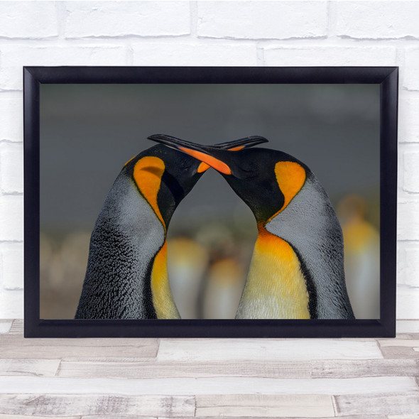 Wildlife Nature Animals two penguins cute Wall Art Print