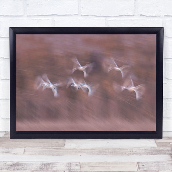 double exposure blur nature birds flying Wall Art Print