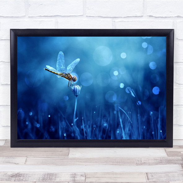 Dragonfly Insect Garden Grass Blue Toned Wall Art Print