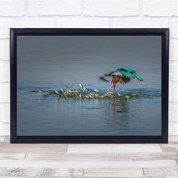 Green Bird Lake Fish Catching Sea Flying Wall Art Print