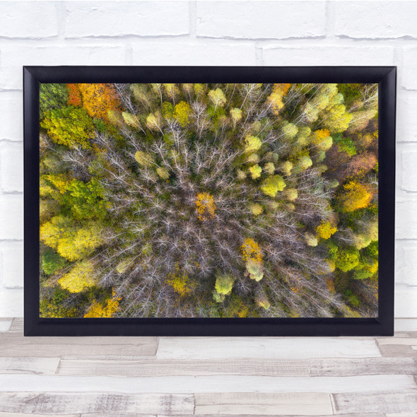 Landscapes Aerial Drone Perspective Tree Wall Art Print