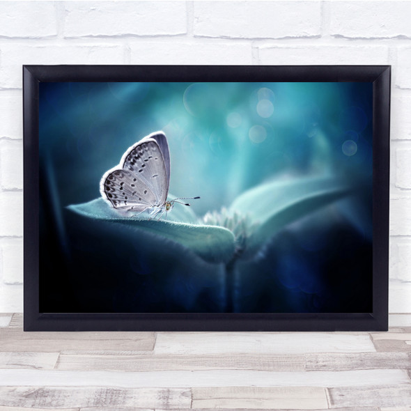 Macro Turquoise Insect Butterflies Bokeh Wall Art Print