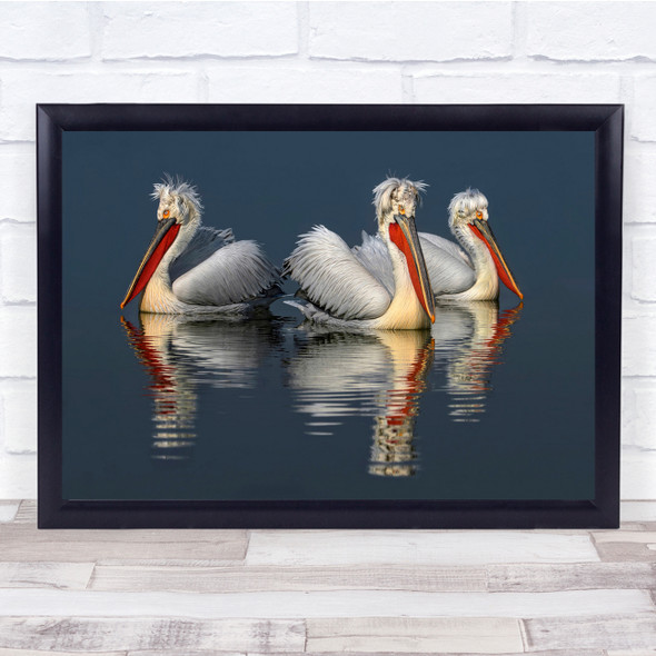 Pelicans Birds Kerkini Reflection Animal Wall Art Print