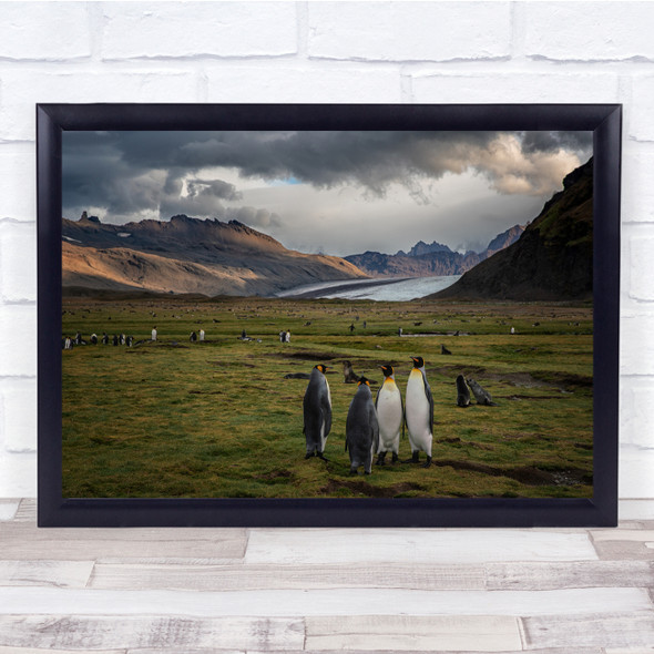 Penguins Glacier Landscape Nature Animal Wall Art Print