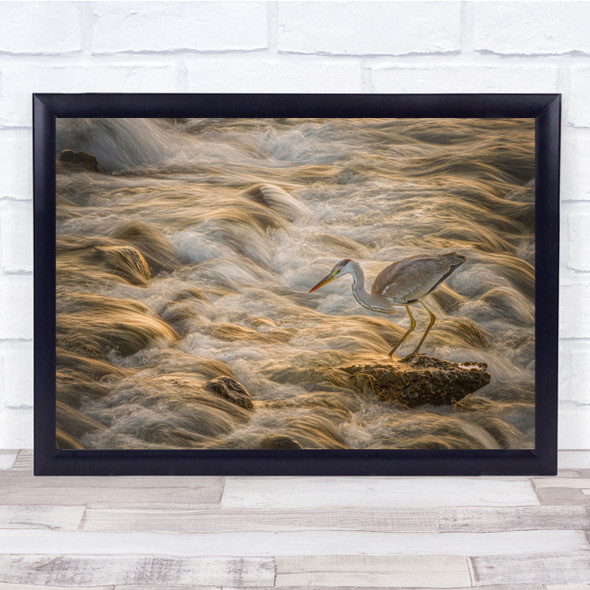 Water Heron Birds Wildlife Nature Animal Wall Art Print