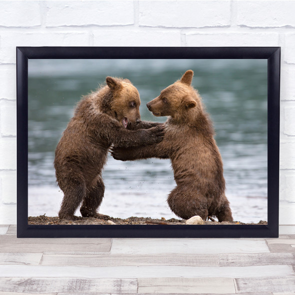 Wildlife Nature Animals Cubs Bears Brown Wall Art Print