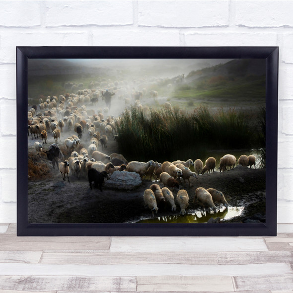 Animals Countryside Rural Shepherd herd Wall Art Print