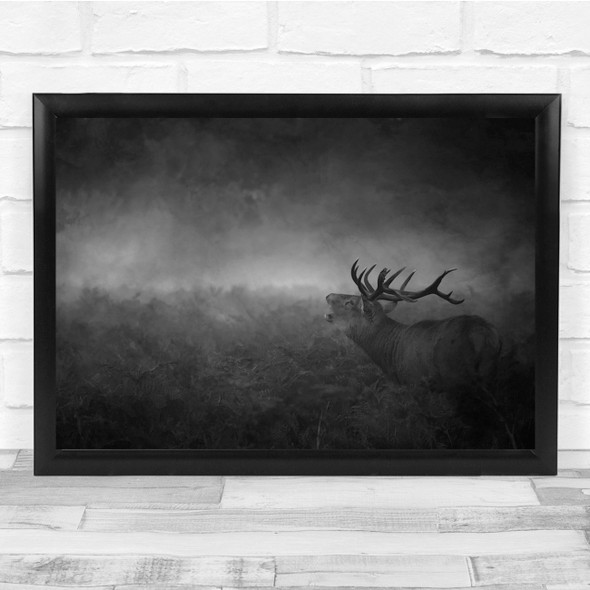 Animals Stag Deer Antlers Black & White Wall Art Print